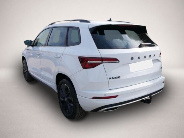 Skoda Karoq (04/2026, Benzin)