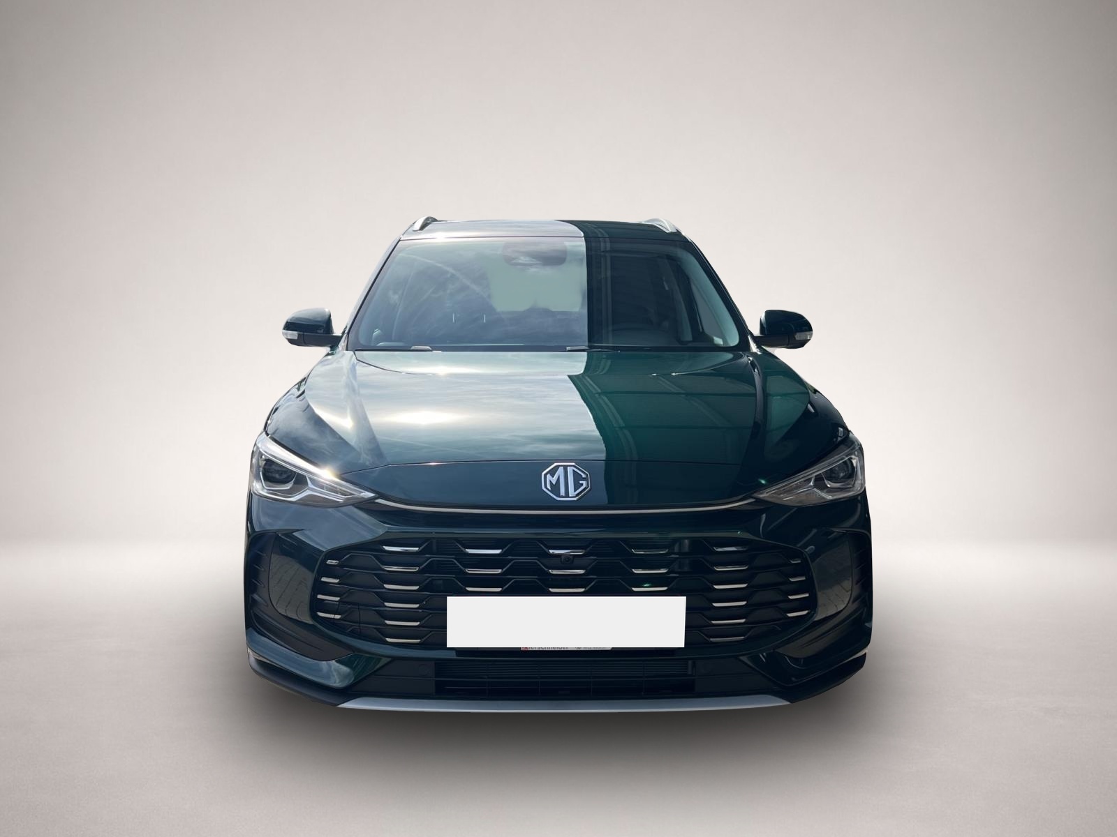Mg ZS, image 8 of 8