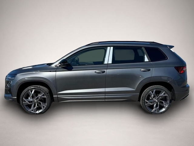 Skoda Karoq (06/2026, Benzin)