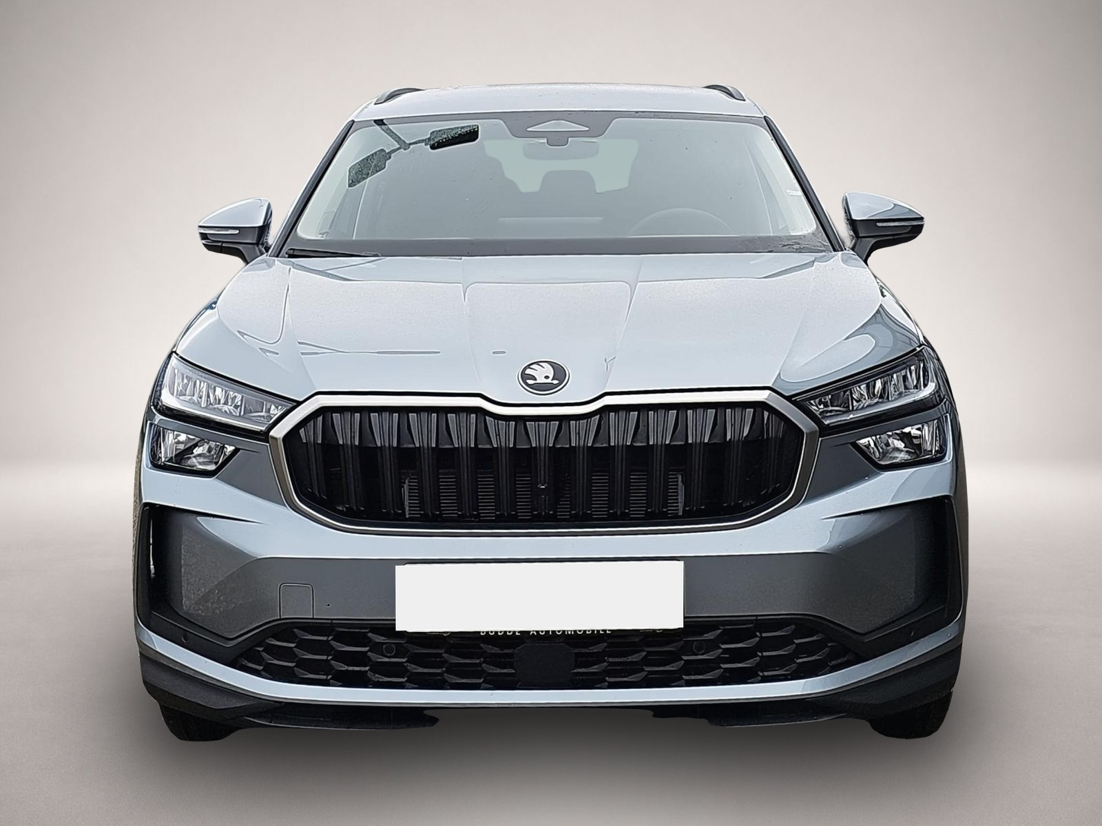 Skoda Kodiaq (04/2026, Benzin)