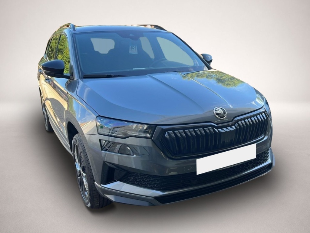 Skoda Karoq (01/2026, Benzin)