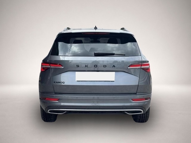 Skoda Karoq (06/2026, Benzin)
