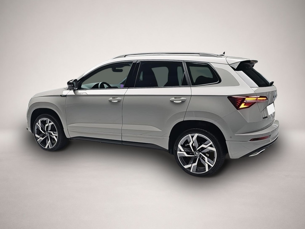Skoda Karoq (06/2026, Benzin)