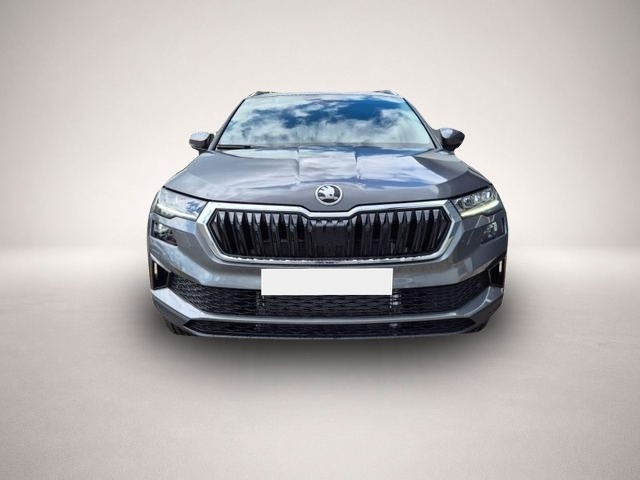 Skoda Karoq (04/2026, Benzin)