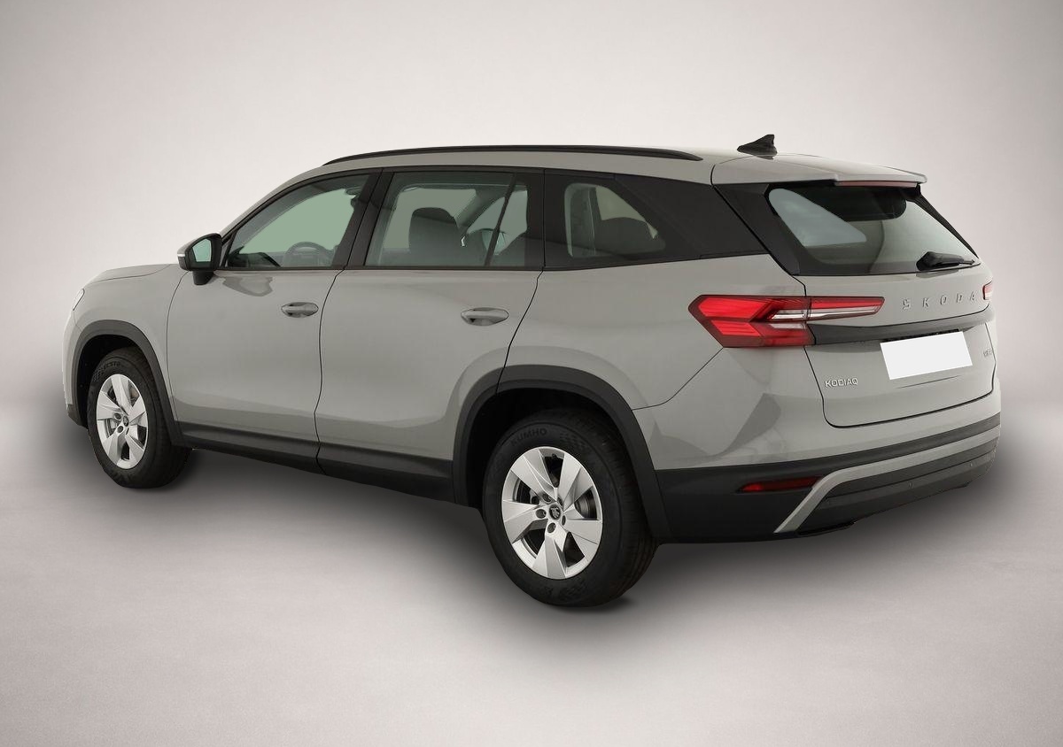 Skoda Kodiaq (07/2026, Benzin)