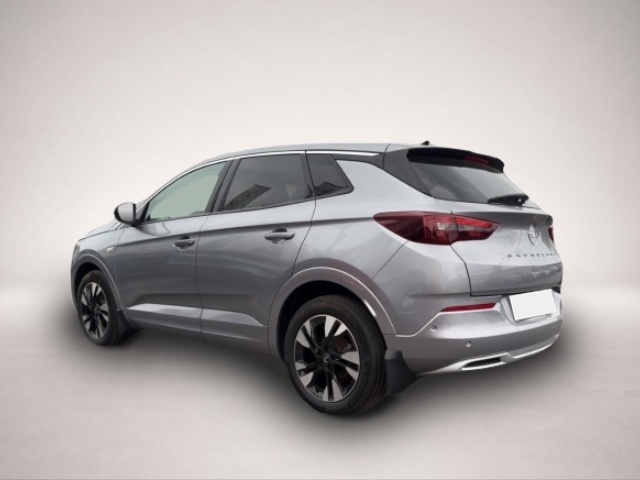 Opel Grandland (X) (03/2023, Benzin)