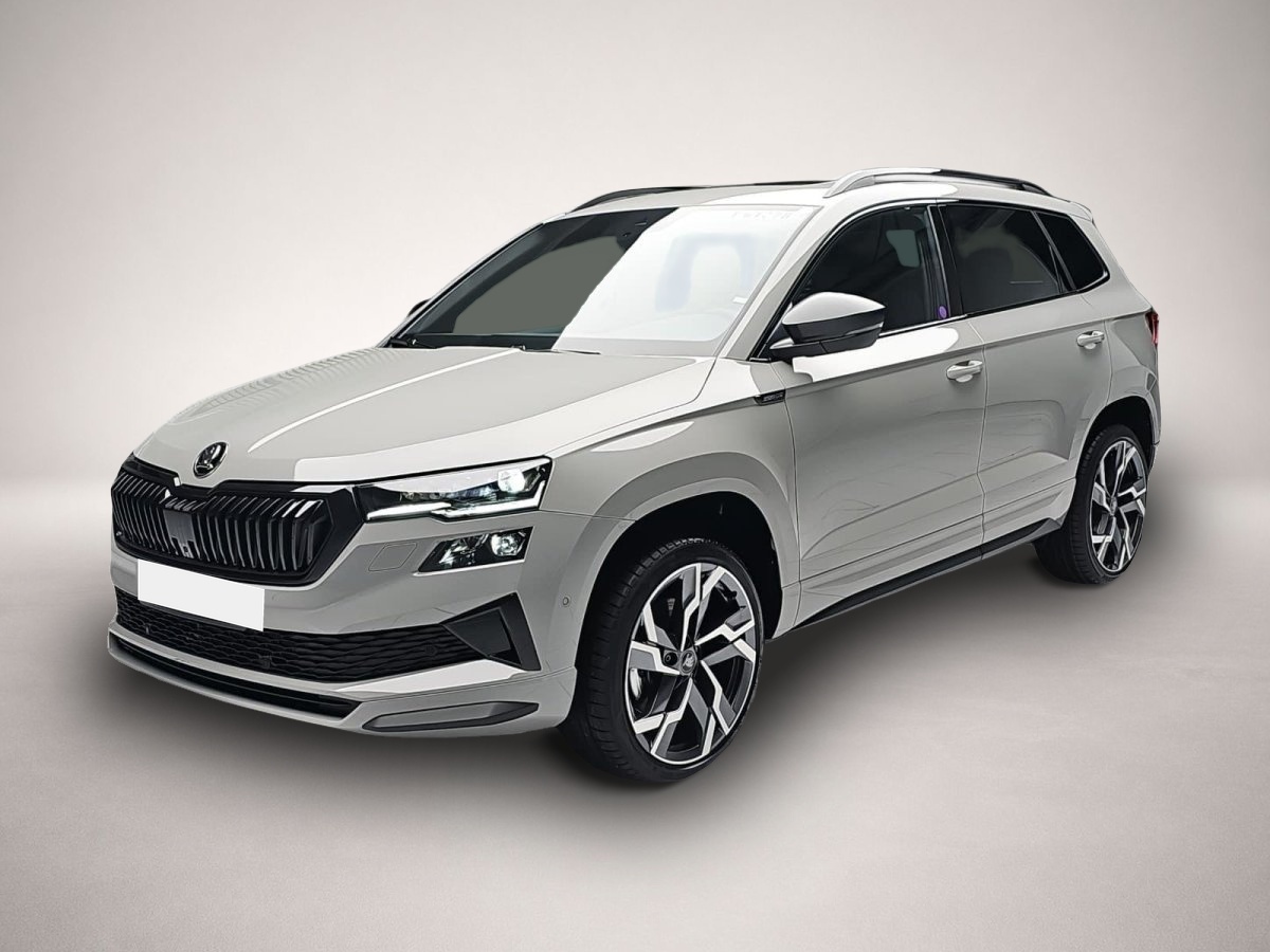 Skoda Karoq (01/2026, Benzin)