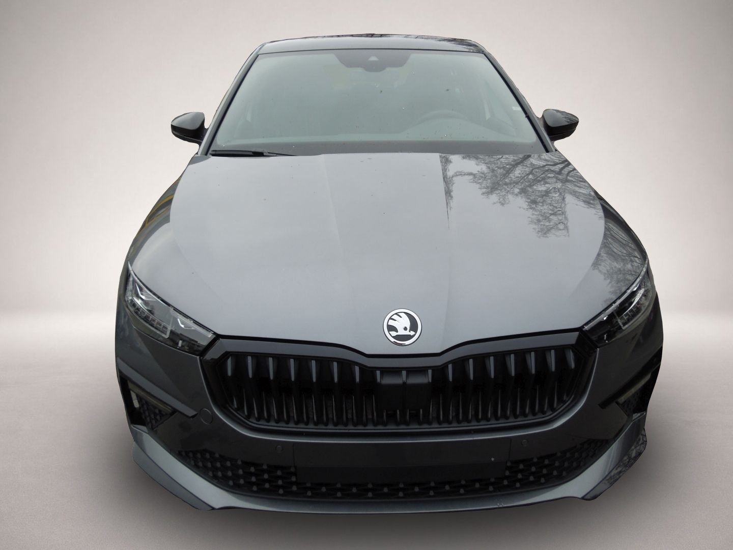 Skoda Scala, Bild 2 von 5
