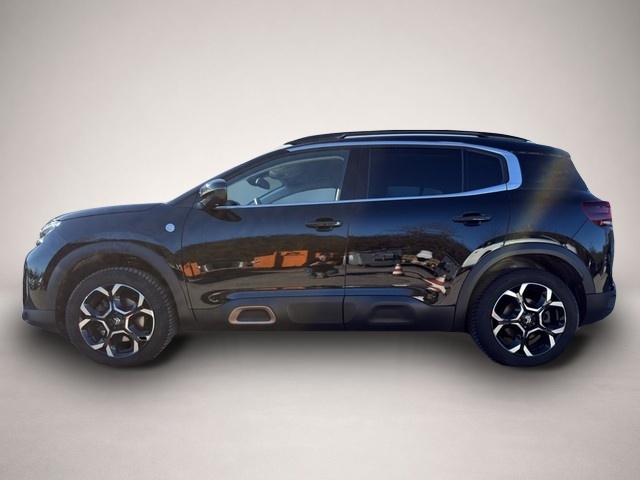 Citroen C5 Aircross (02/2024, Benzin)