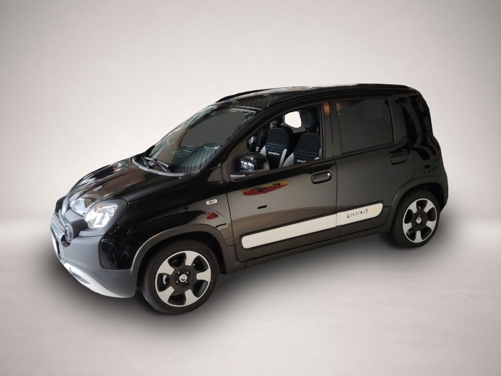 Fiat Other (11/2025, Benzin)