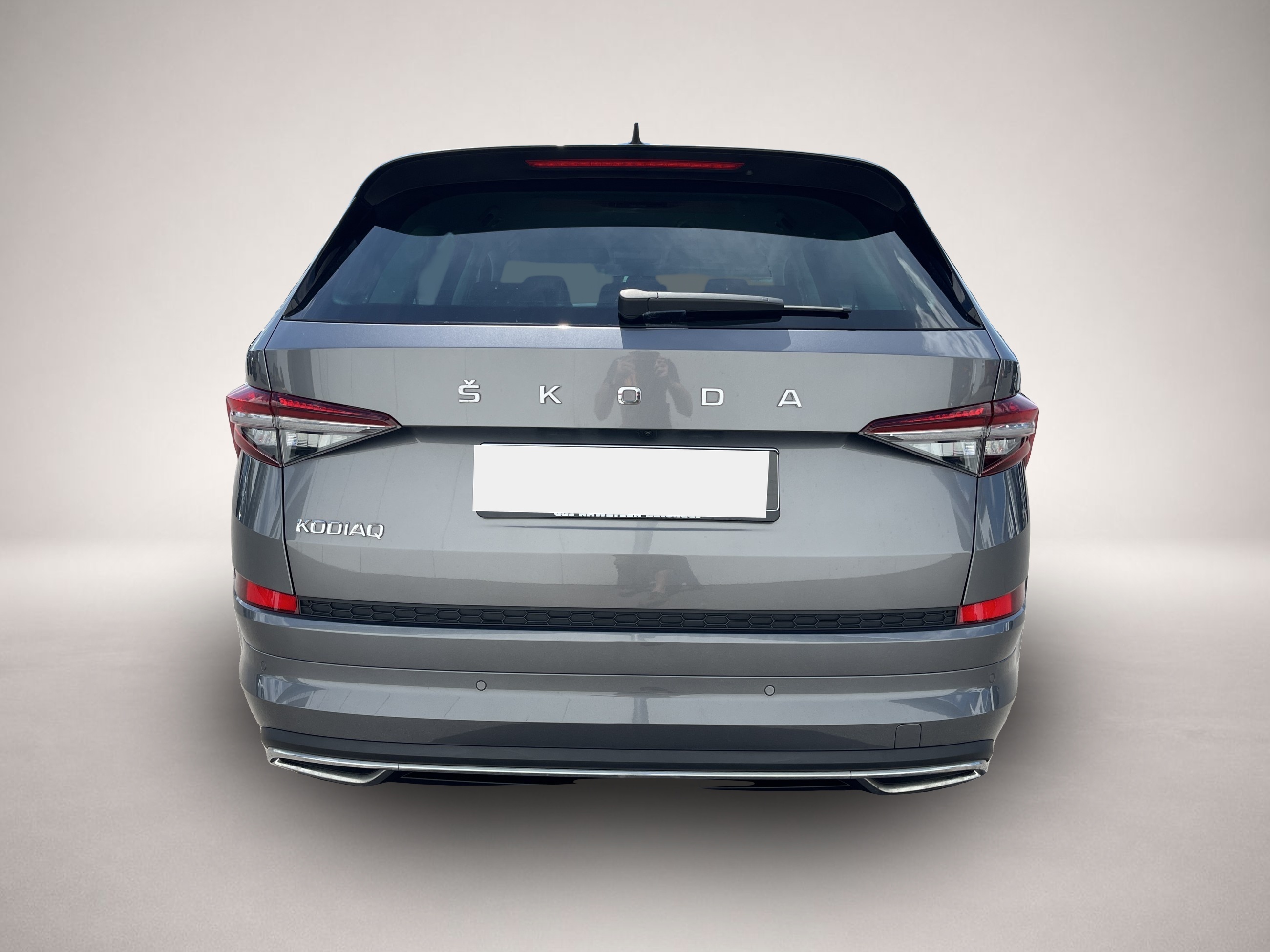 Skoda Kodiaq (10/2022, Diesel)