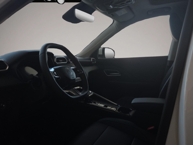 Mg ZS, image 5 of 6