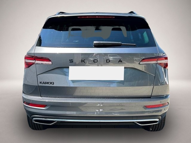 Skoda Karoq (06/2026, Diesel)