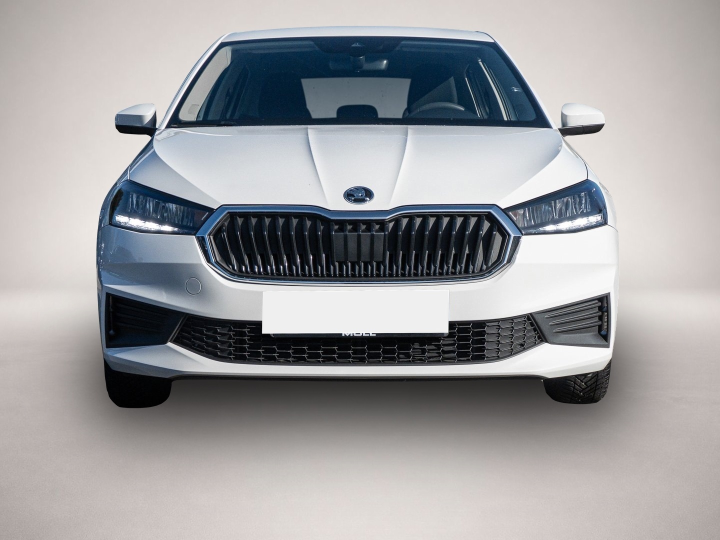 Skoda Fabia (01/2023, Benzin)