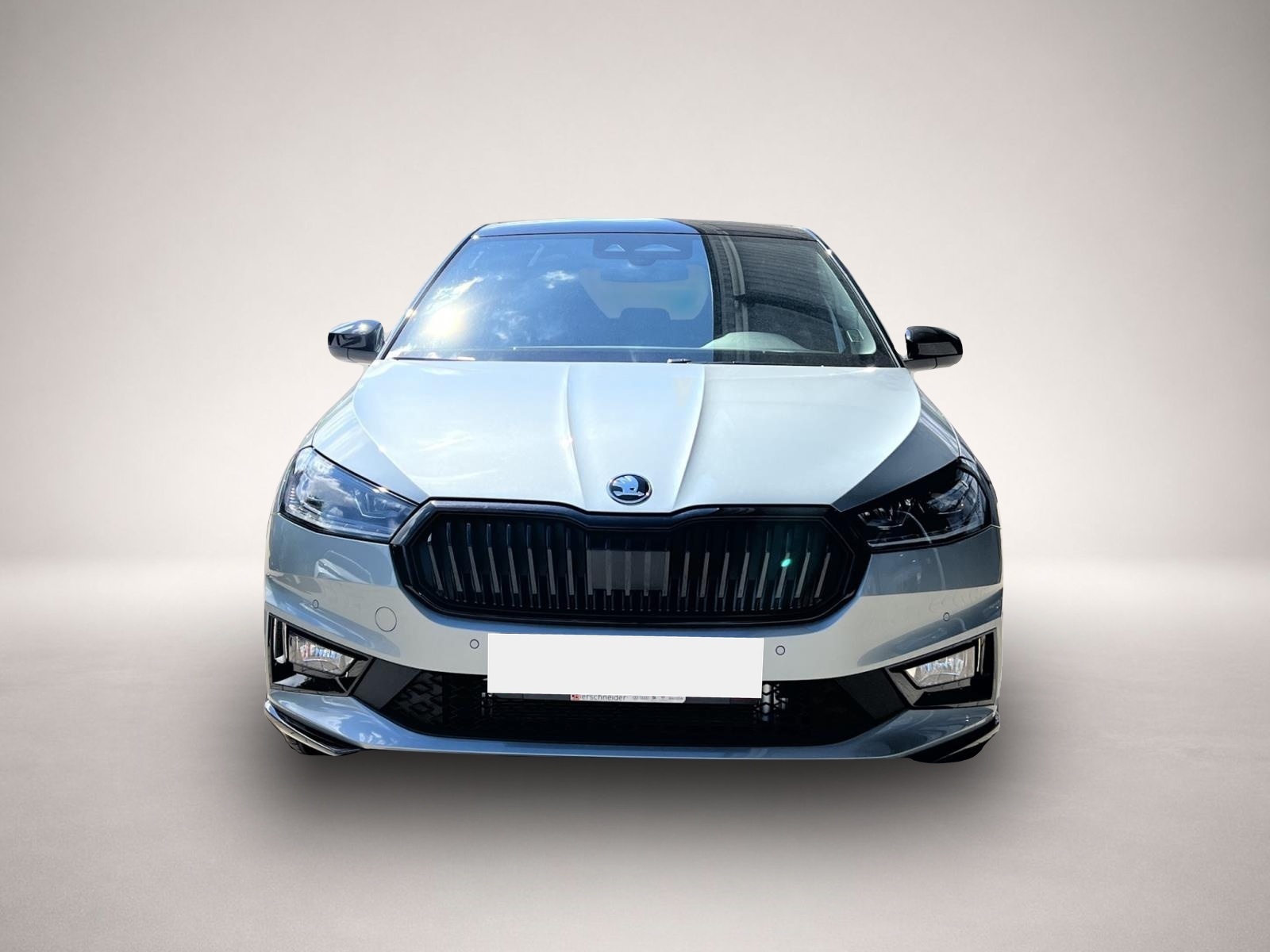 Skoda Fabia (, Benzin)