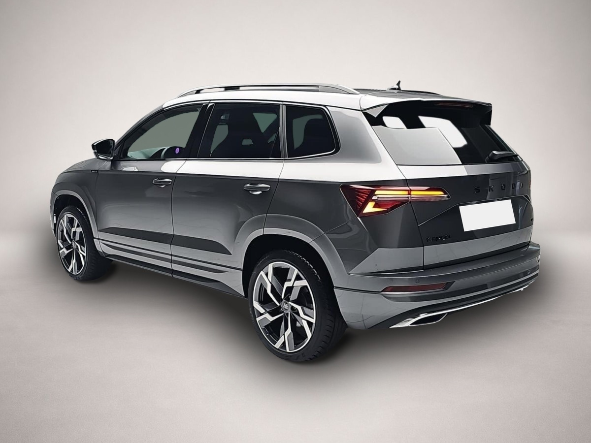 Skoda Karoq, image 3 of 4