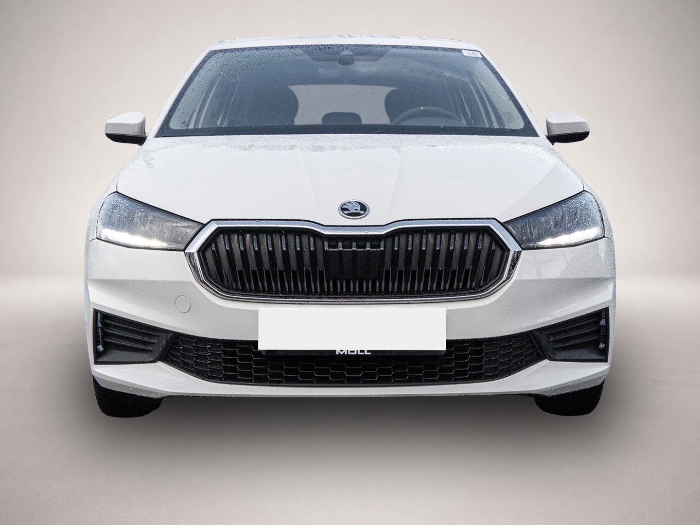Skoda Fabia (01/2023, Benzin)