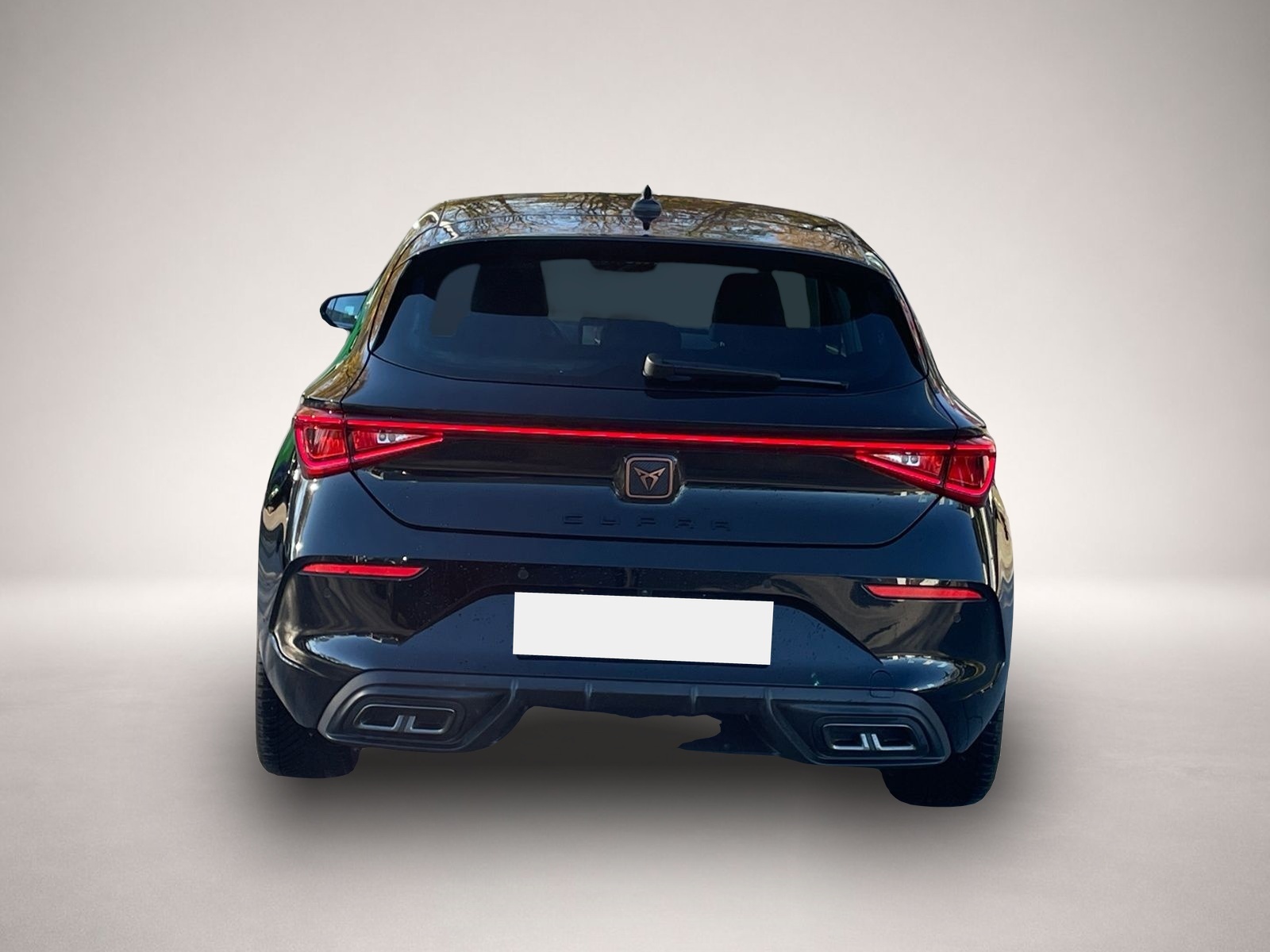 Cupra Leon (02/2024, Diesel)