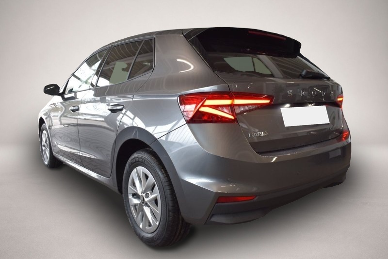 Skoda Fabia (, Benzin)