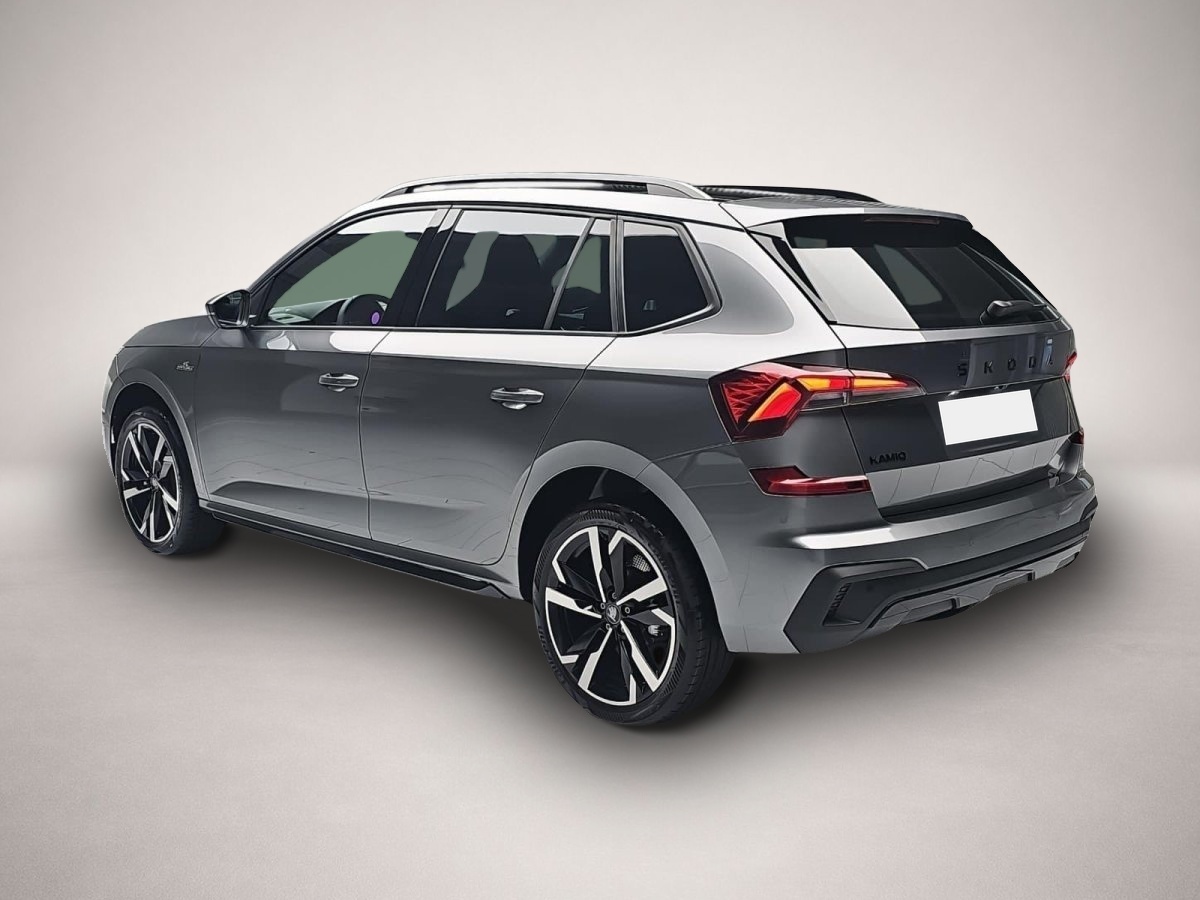 Skoda Kamiq, Bild 4 von 5