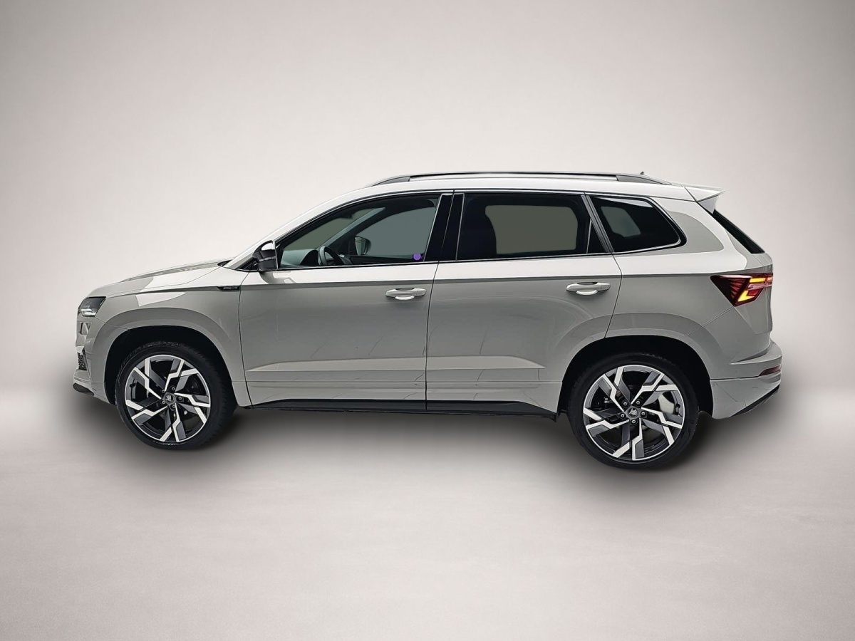 Skoda Karoq (04/2026, Benzin)