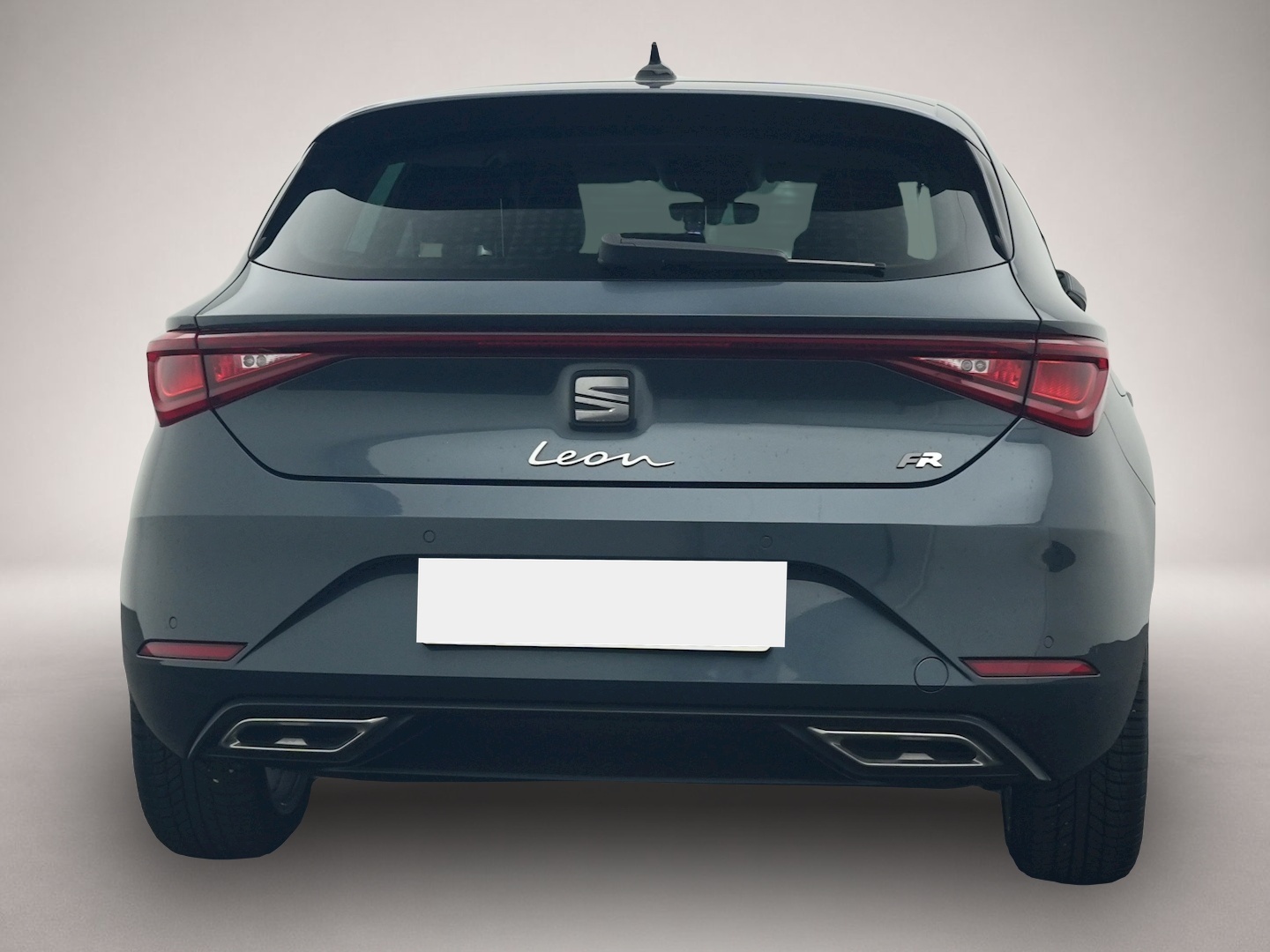 Seat Leon (06/2025, Benzin)