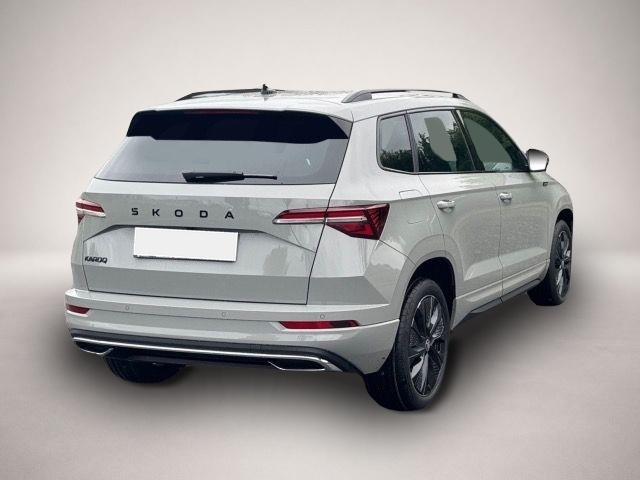 Skoda Karoq (10/2025, Benzin)