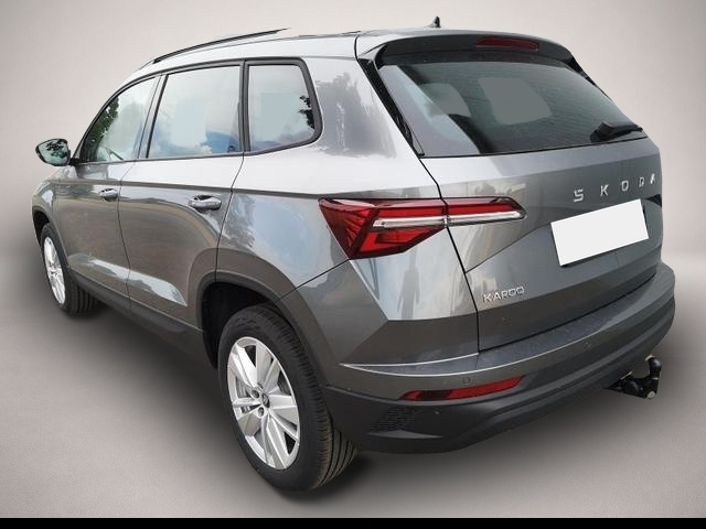 Skoda Karoq (07/2026, Benzin)