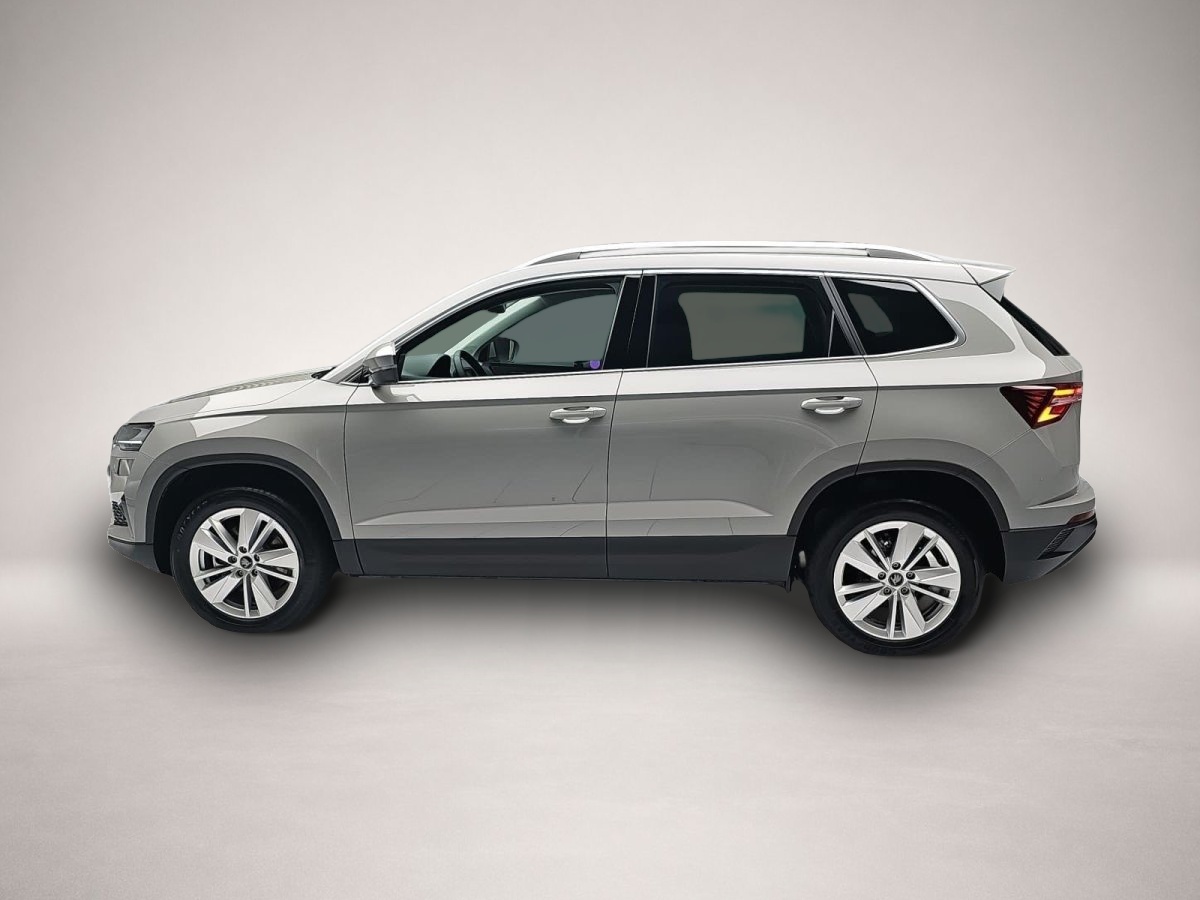 Skoda Karoq, Bild 4 von 4