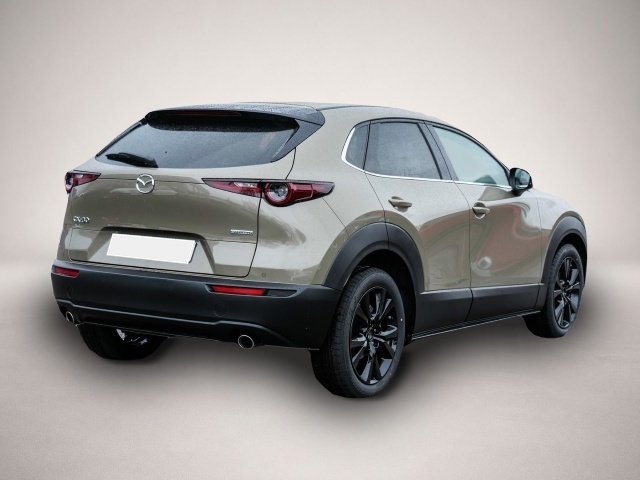Mazda CX-30 (02/2026, Benzin)