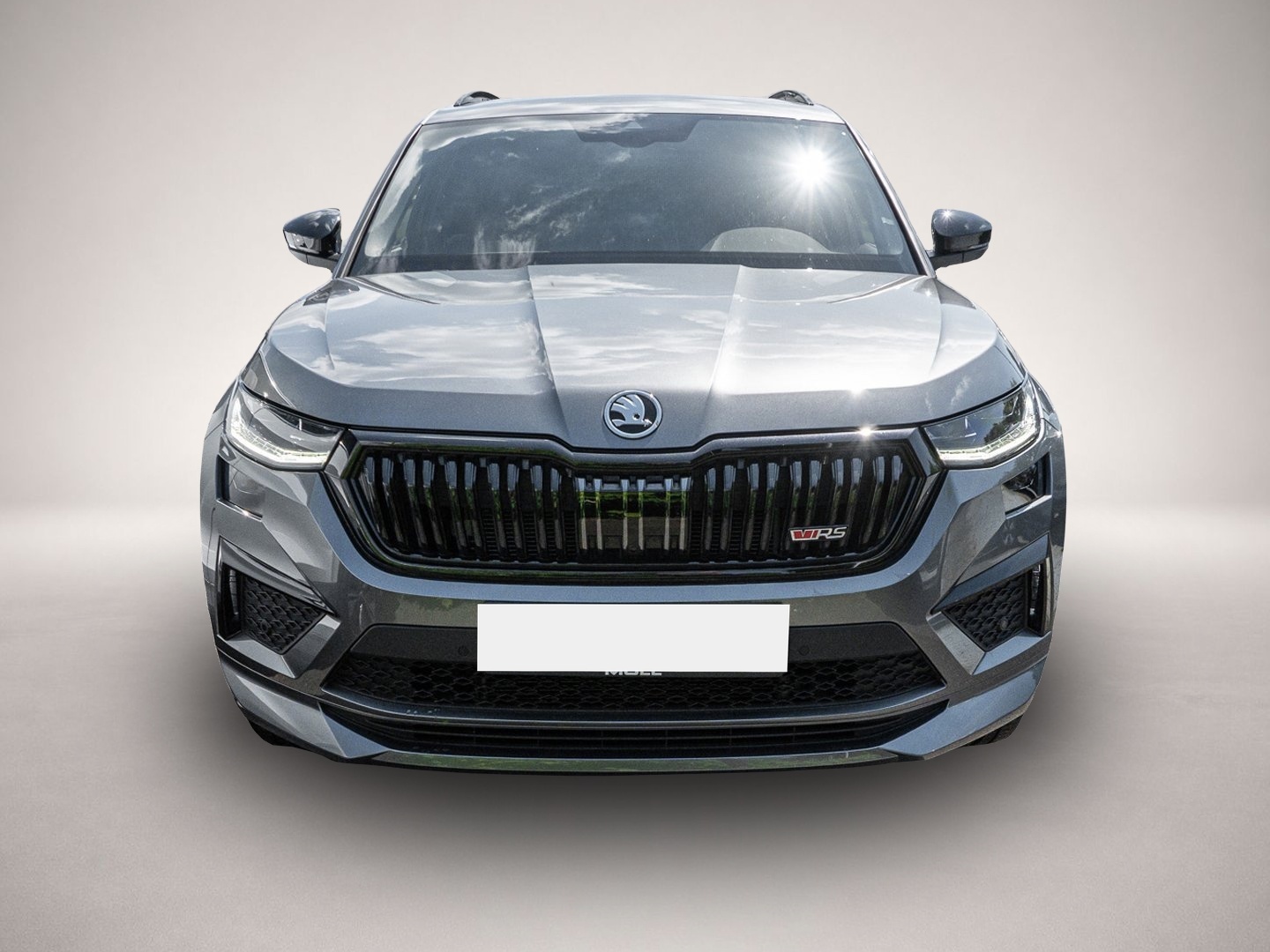 Skoda Kodiaq (04/2024, )