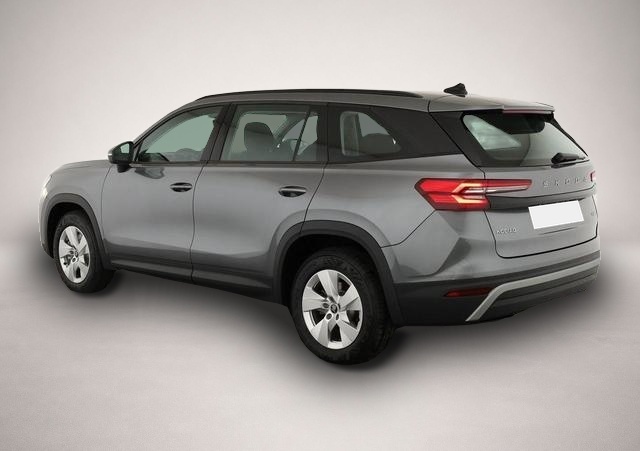 Skoda Kodiaq (07/2026, Benzin)