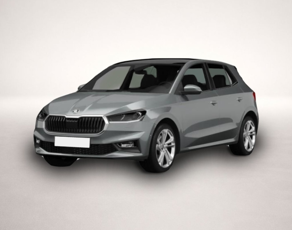 Skoda Fabia (, Benzin)