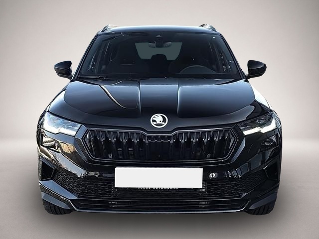 Skoda Karoq (04/2026, Benzin)