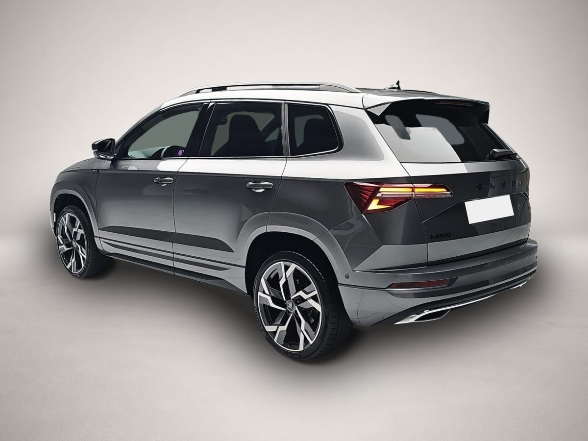 Skoda Karoq (05/2026, Benzin)