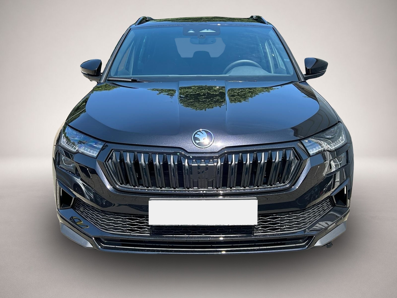 Skoda Karoq (06/2026, Diesel)