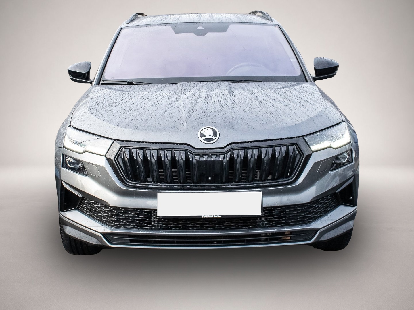 Skoda Karoq (01/2023, )