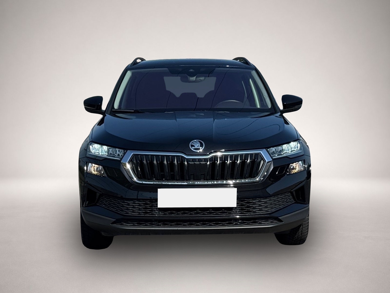Skoda Other (07/2025, Benzin)