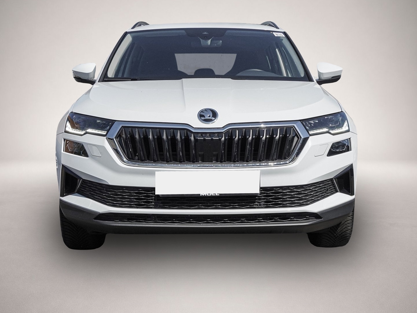 Skoda Karoq (06/2025, )