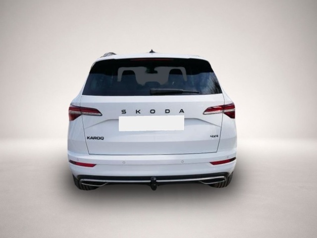 Skoda Karoq (06/2026, Benzin)