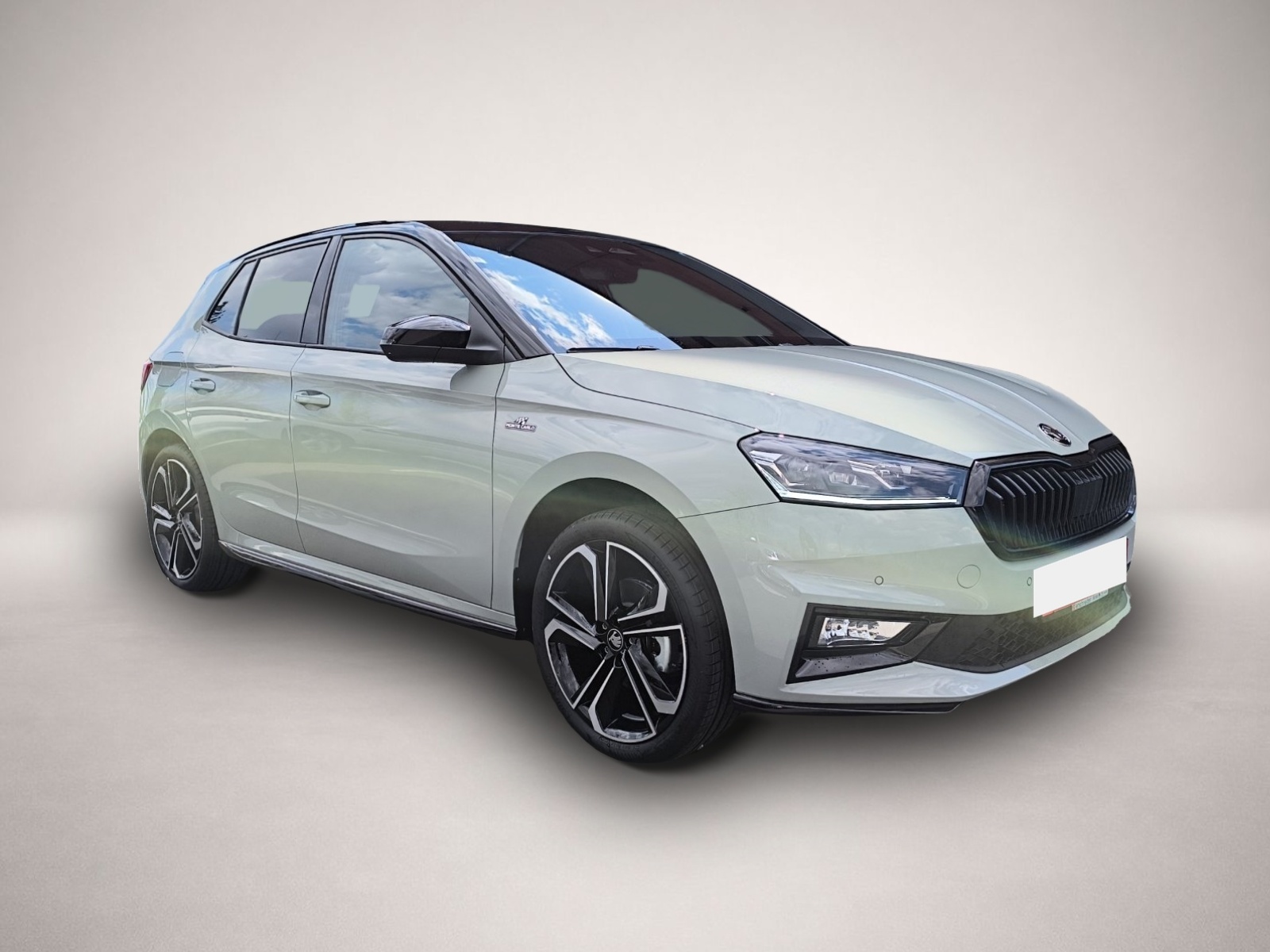 Skoda Fabia (, Benzin)