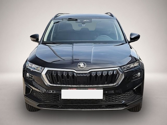 Skoda Karoq (07/2026, Benzin)