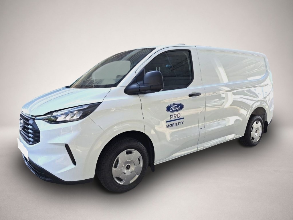 Ford Other (11/2024, )