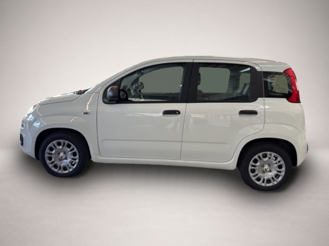 Fiat Panda (03/2026, Benzin)