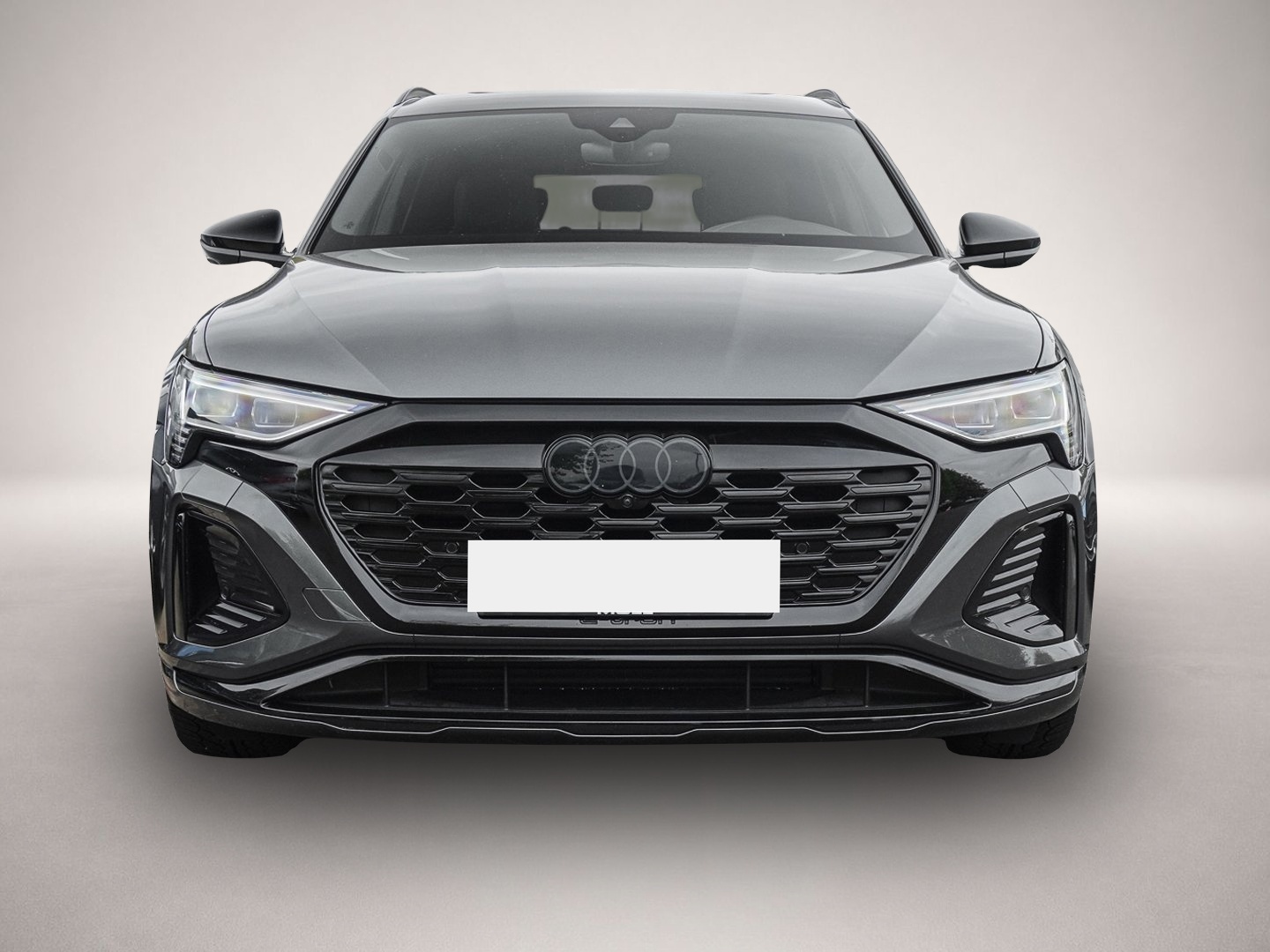 Audi Q8 e-tron (01/2024, ELECTRIC)