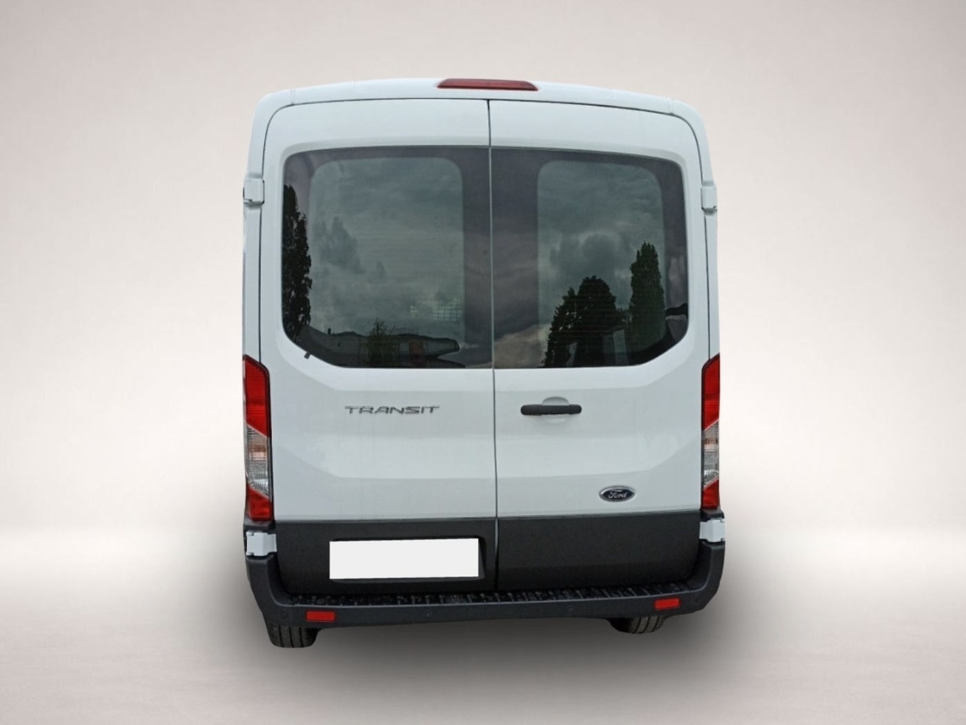 Ford Transit (03/2025, Diesel)