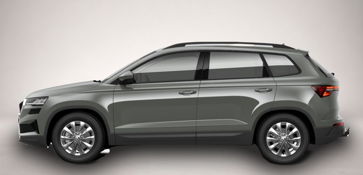 Skoda Karoq (02/2026, Benzin)