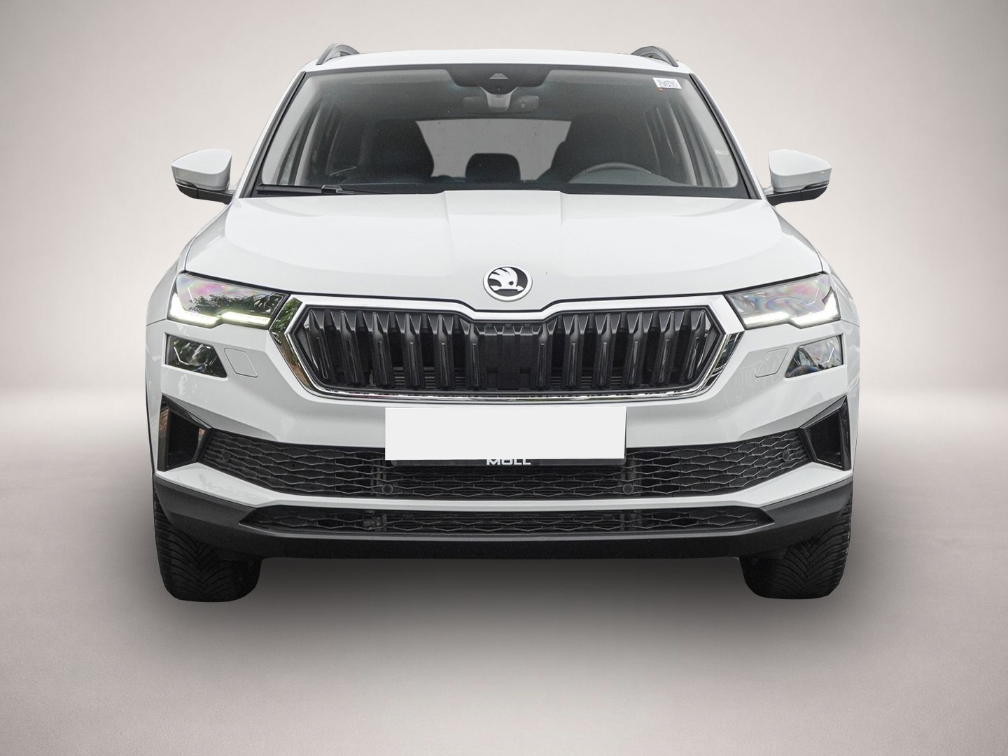 Skoda Karoq (06/2025, Diesel)