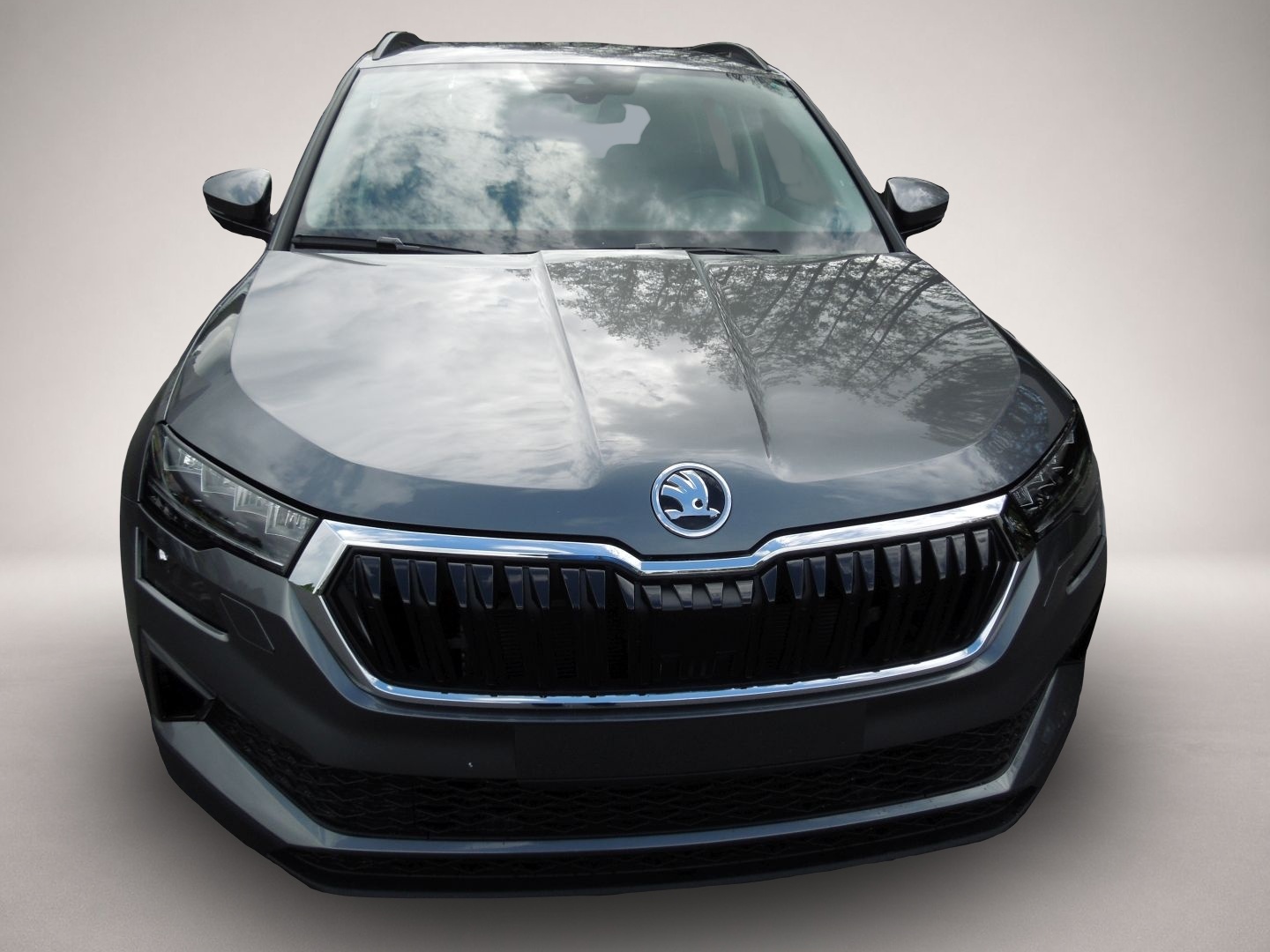 Skoda Karoq, Bild 2 von 4