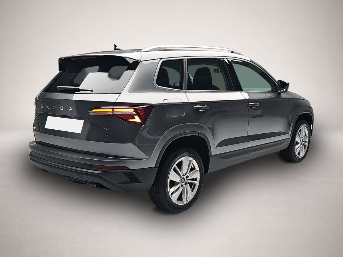 Skoda Karoq, Bild 2 von 4